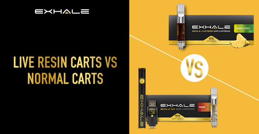 COMPARING LIVE-RESIN CARTS VS NORMAL CARTS: SIMILARITIES & DIFFERENCES